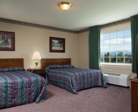 Luray Caverns Motel Room 2