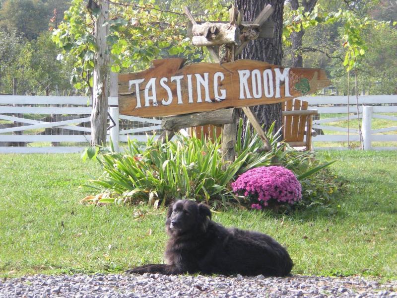 Wisteria Farm & Vineyard - Tammy