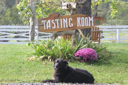 Wisteria Farm & Vineyard - Tammy