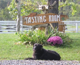 Wisteria Farm & Vineyard - Tammy