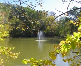 Big Gem Park, Shenandoah Va