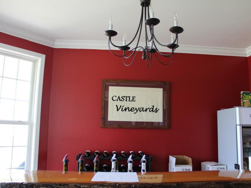 Castle Vineyards, LLC - Luray Virginia