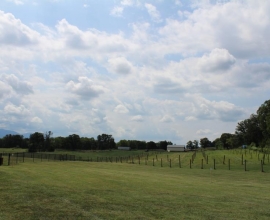 Castle Vineyards, LLC - Luray Virginia