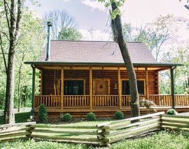 Cuddly Cub Cabin
