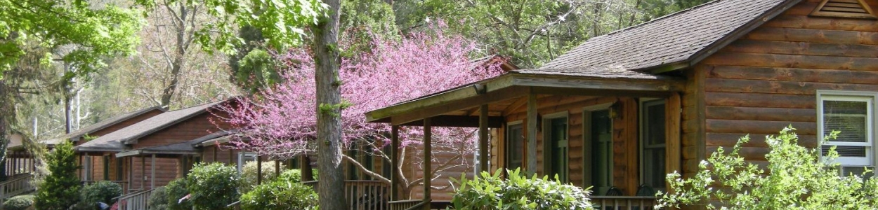 Brookside Cabins in Spring in Shenandoah Valley